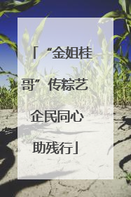 “金姐桂哥”传粽艺 企民同心助残行