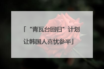 “青瓦台回归”计划让韩国人喜忧参半