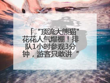 “顶流大熊猫”花花人气爆棚！排队1小时参观3分钟，游客只敢讲“悄悄话”