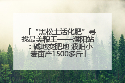 “黑松土活化肥”寻找最美粮王——濮阳站：碱地变肥地 濮阳小麦亩产1500多斤