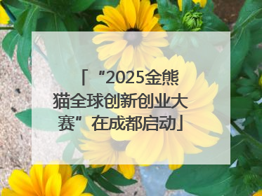 “2025金熊猫全球创新创业大赛”在成都启动