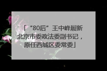 “80后”王中峰履新北京市委政法委副书记，原任西城区委常委