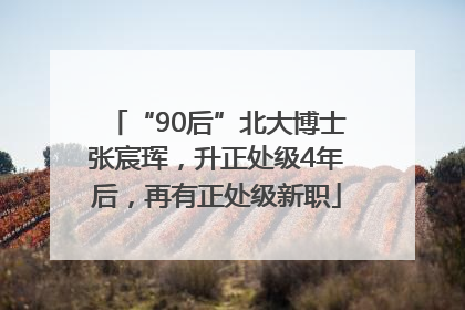 “90后”北大博士张宸珲，升正处级4年后，再有正处级新职