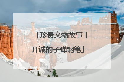 珍贵文物故事丨开诚的子弹钢笔