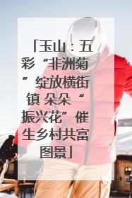 玉山：五彩“非洲菊”绽放横街镇 朵朵“振兴花”催生乡村共富图景