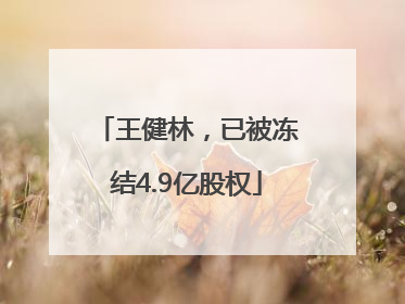 王健林，已被冻结4.9亿股权