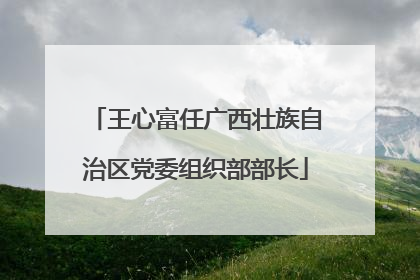 王心富任广西壮族自治区党委组织部部长
