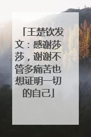 王楚钦发文：感谢莎莎，谢谢不管多痛苦也想证明一切的自己