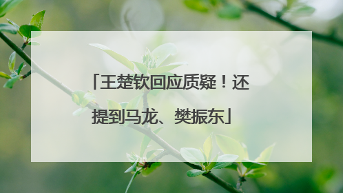 王楚钦回应质疑！还提到马龙、樊振东
