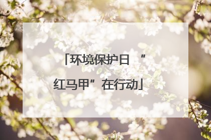 环境保护日 “红马甲”在行动