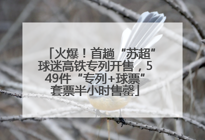 火爆！首趟“苏超”球迷高铁专列开售，549件“专列+球票”套票半小时售罄
