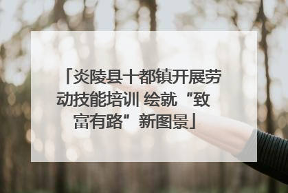 炎陵县十都镇开展劳动技能培训 绘就“致富有路”新图景