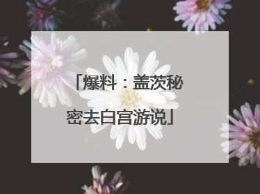 爆料：盖茨秘密去白宫游说