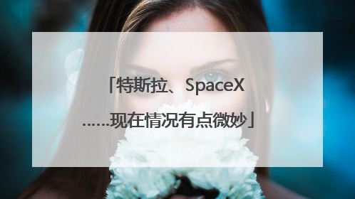 特斯拉、SpaceX……现在情况有点微妙