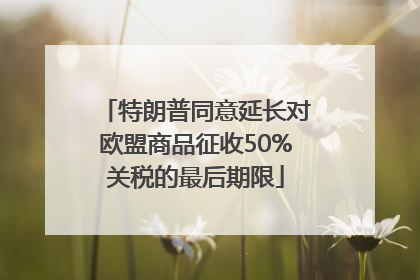 特朗普同意延长对欧盟商品征收50%关税的最后期限