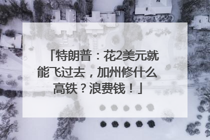 特朗普：花2美元就能飞过去，加州修什么高铁？浪费钱！