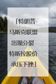 特朗普-马斯克联盟出现分裂 特斯拉股价承压下挫