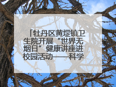 牡丹区黄堽镇卫生院开展“世界无烟日”健康讲座进校园活动——科学控烟护成长 无烟环境助健康
