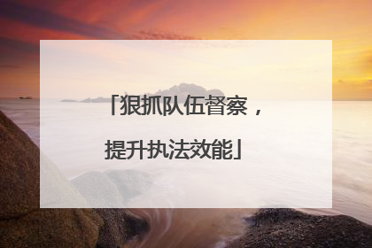 狠抓队伍督察，提升执法效能