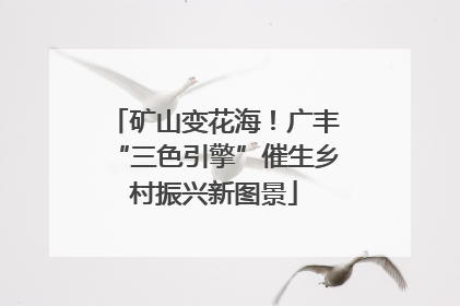 矿山变花海！广丰“三色引擎”催生乡村振兴新图景