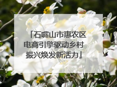 石嘴山市惠农区电商引擎驱动乡村振兴焕发新活力