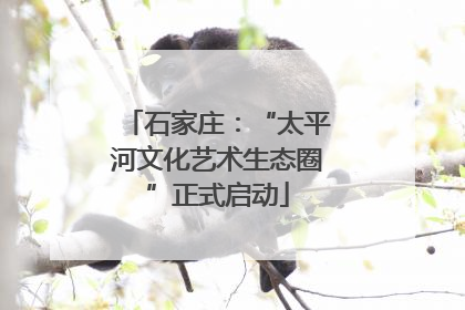 石家庄：“太平河文化艺术生态圈”正式启动