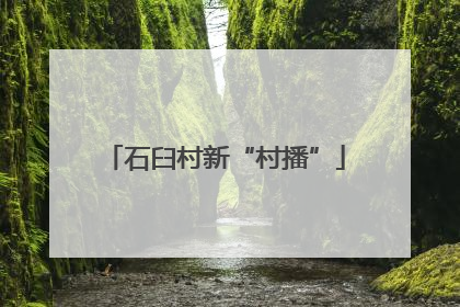 石臼村新“村播”