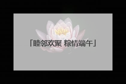 睦邻欢聚 粽情端午