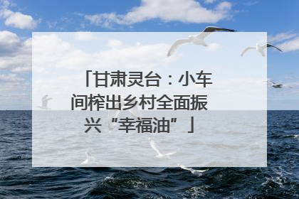 甘肃灵台：小车间榨出乡村全面振兴“幸福油”
