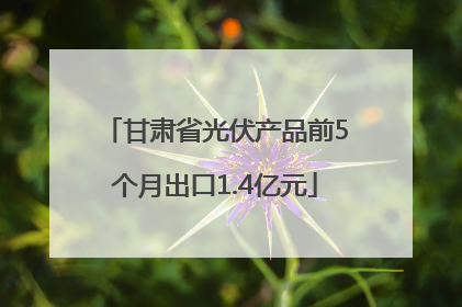 甘肃省光伏产品前5个月出口1.4亿元