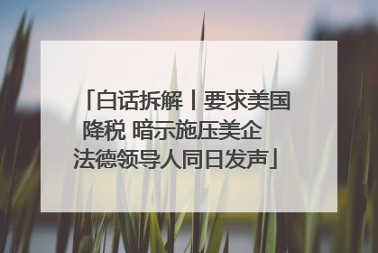 白话拆解丨要求美国降税 暗示施压美企 法德领导人同日发声