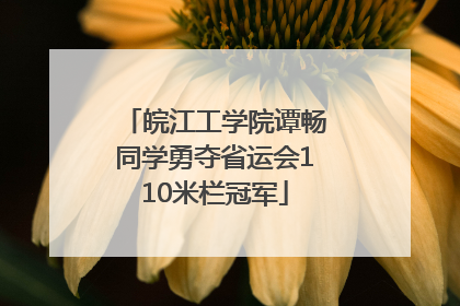 皖江工学院谭畅同学勇夺省运会110米栏冠军