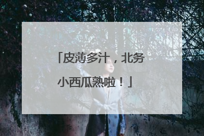 皮薄多汁，北务小西瓜熟啦！