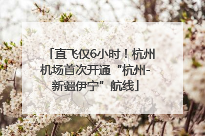 直飞仅6小时！杭州机场首次开通“杭州-新疆伊宁”航线