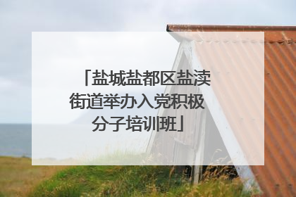 盐城盐都区盐渎街道举办入党积极分子培训班