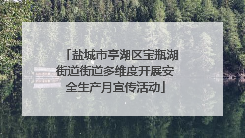 盐城市亭湖区宝瓶湖街道街道多维度开展安全生产月宣传活动