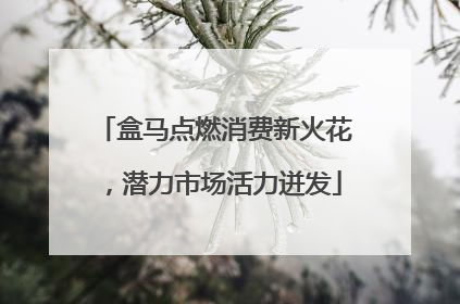 盒马点燃消费新火花，潜力市场活力迸发