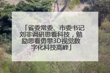 省委常委、市委书记刘非调研思看科技，勉励思看勇攀3D视觉数字化科技高峰