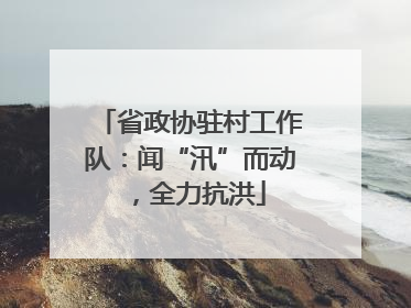 省政协驻村工作队：闻“汛”而动，全力抗洪