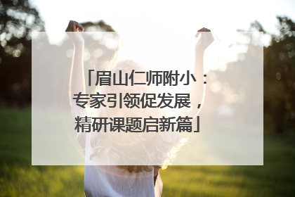 眉山仁师附小：专家引领促发展，精研课题启新篇