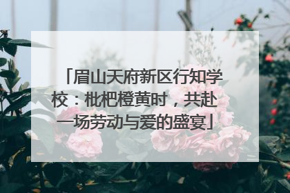 眉山天府新区行知学校：枇杷橙黄时，共赴一场劳动与爱的盛宴