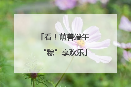 看！萌兽端午“粽”享欢乐