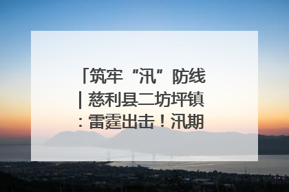 筑牢“汛”防线｜慈利县二坊坪镇：雷霆出击！汛期捕鱼被紧急叫停