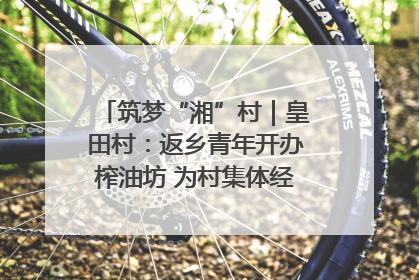 筑梦“湘”村｜皇田村：返乡青年开办榨油坊 为村集体经济“加油”
