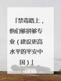禁毒路上，他们够拼够专业（建设更高水平的平安中国）