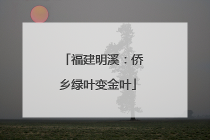 福建明溪：侨乡绿叶变金叶