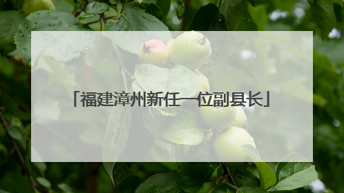福建漳州新任一位副县长