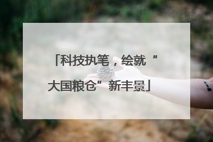 科技执笔，绘就“大国粮仓”新丰景