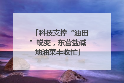 科技支撑“油田”蜕变，东营盐碱地油菜丰收忙