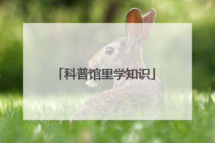 科普馆里学知识
